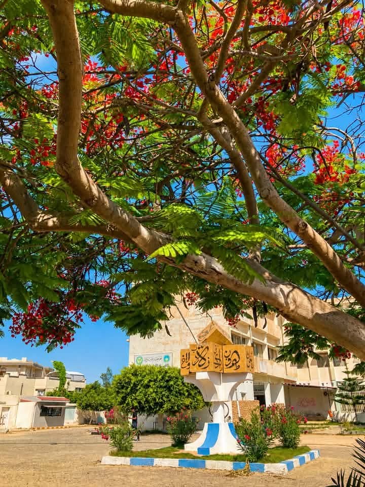 عدسة الطلبه