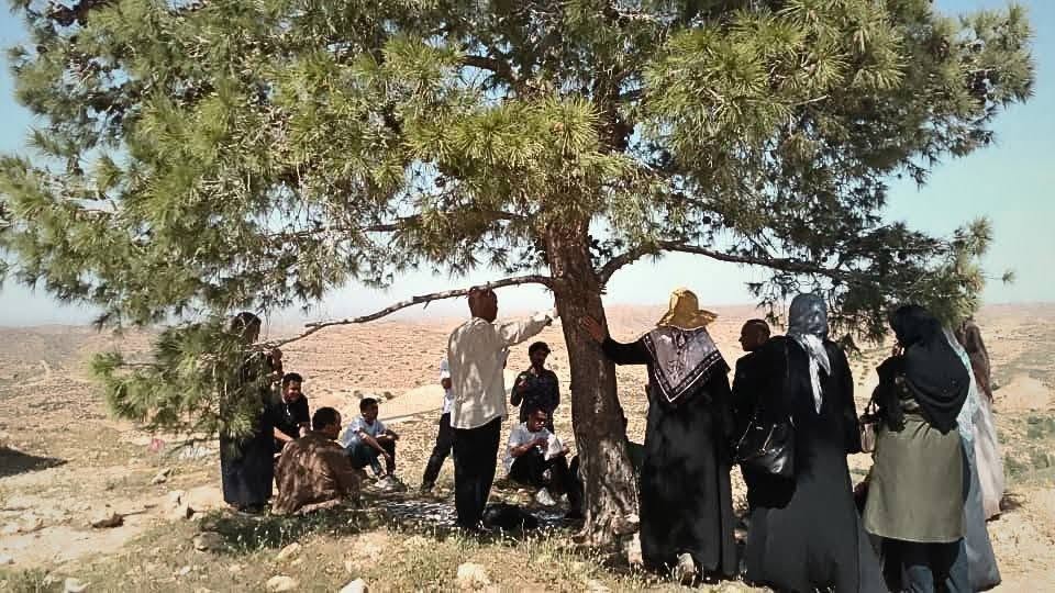 قسم الجغرافيا ينظم زيارة ميدانية علمية إلى محمية الشعافين بمنطقة مسلاتة
